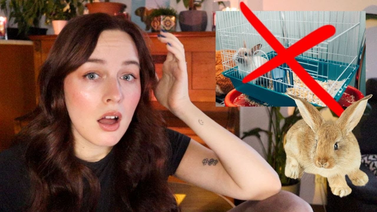HODNOTÍM VAŠE KRÁLIČÍ UBIKACE (a tohle je nejčastější chyba)