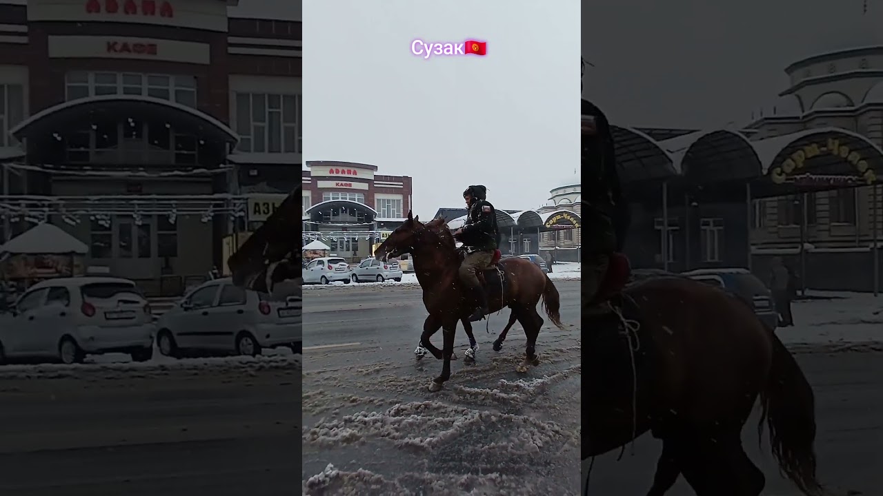Travel Kyrgyzstan🇰🇬 Suzak  Сузак #suzak #horse #сузак #лошади #жалалабад #кыргызстан #jalalabad #🇰🇬