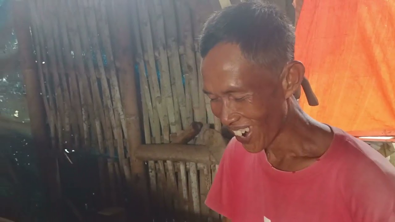 Sukses Berternak Sapi P. Sofi Di Kel. Kranjingan Jember