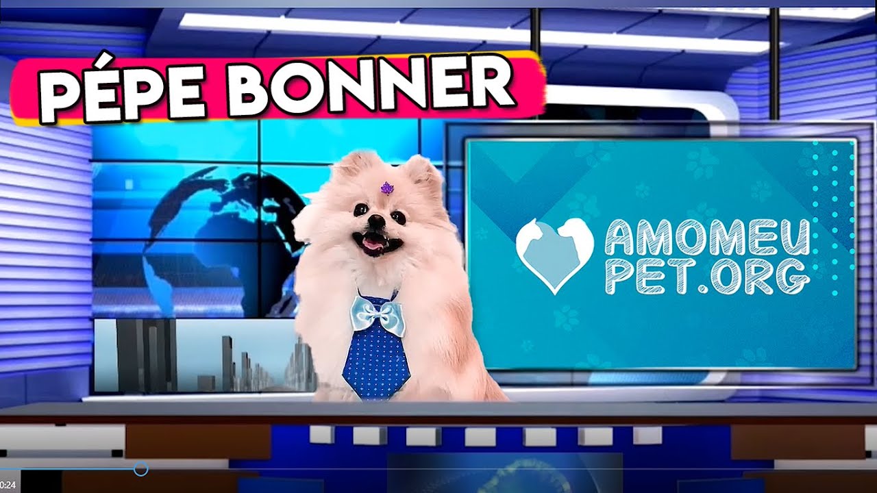 1º JORNALZINHO DO AMO MEU PET | As histórias e notícias mais fofas da semana | Pépe Bonner
