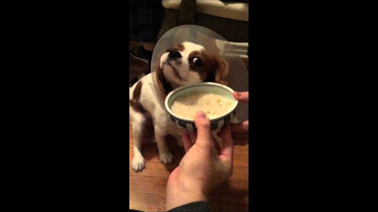 Bong Gu eats special meal