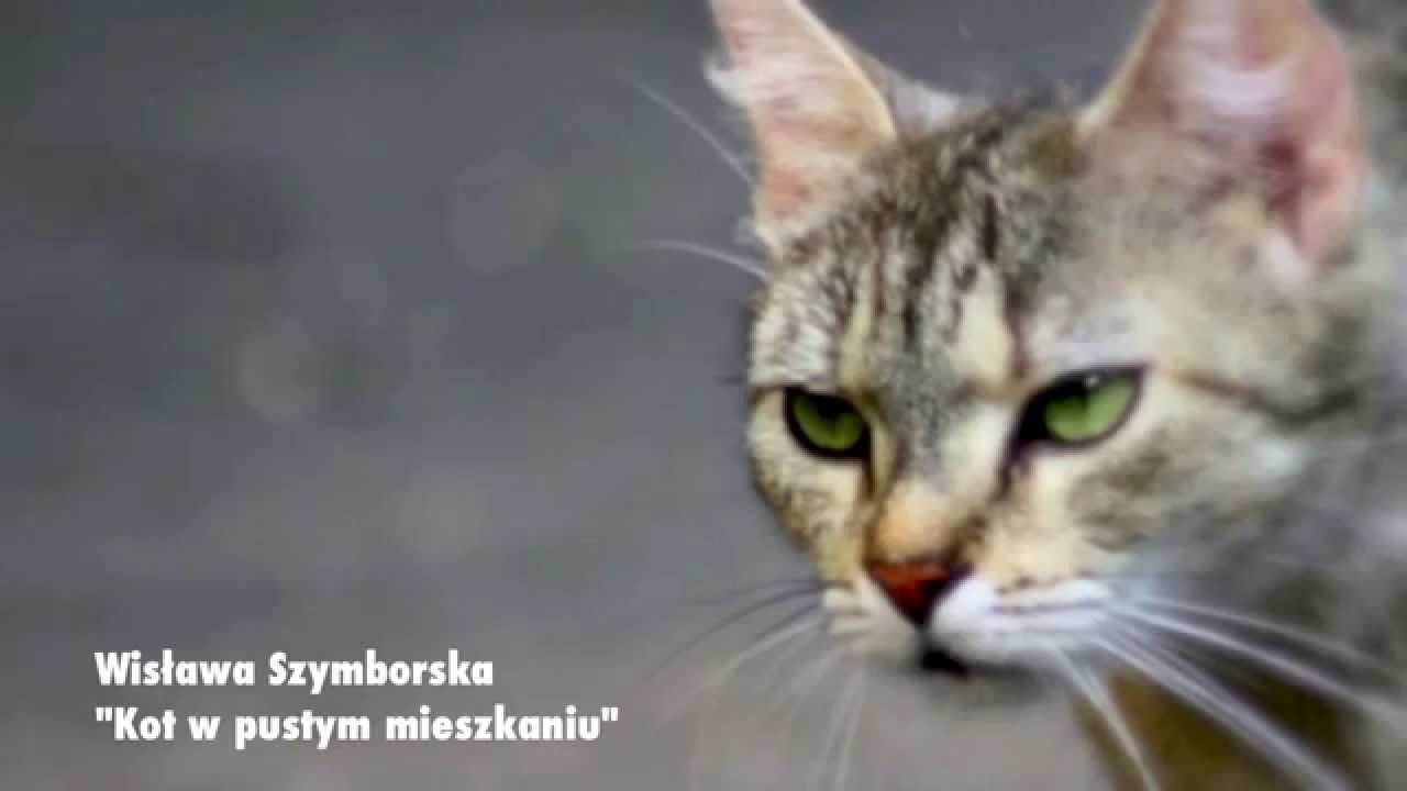 Wisława Szymborska KOT W PUSTYM MIESZKANIU   czyta  Jolanta Wolters