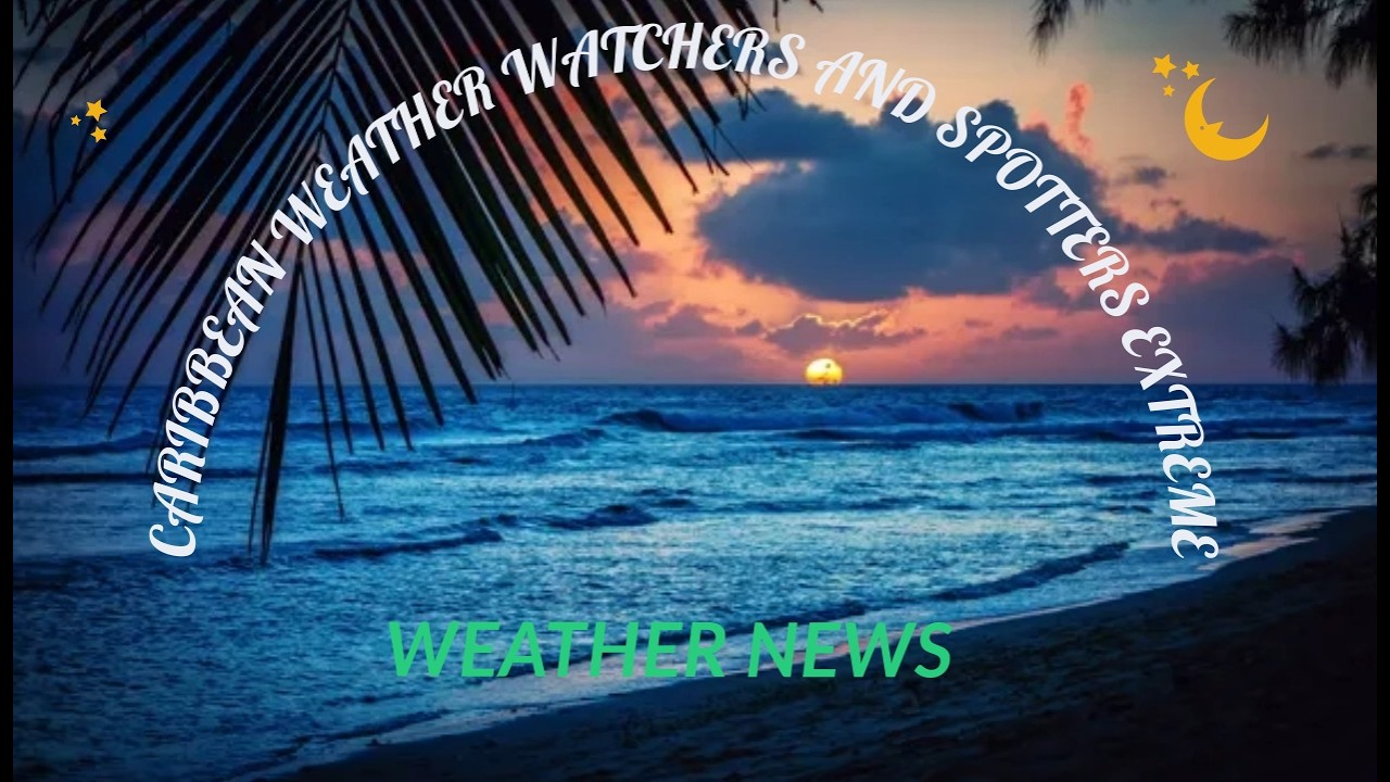 CBC TV8 Weather News for 12.02.2026