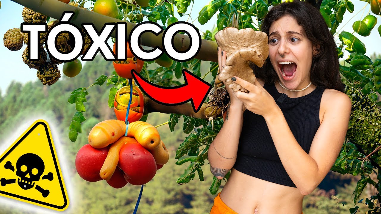 😱 Provando os VEGETAIS mais EXÓTICOS pela primeira vez!!!