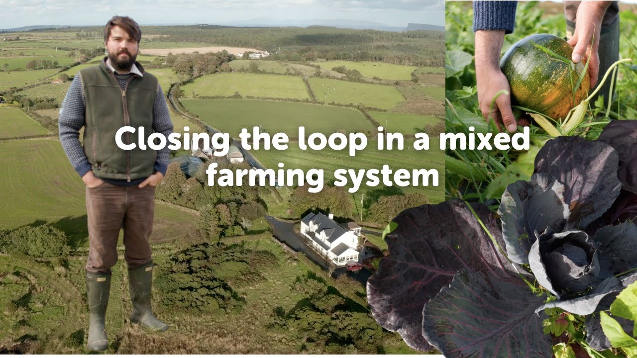 Closing the loop on a mixed farm system with Charlie Cole, Broughgammon Farm