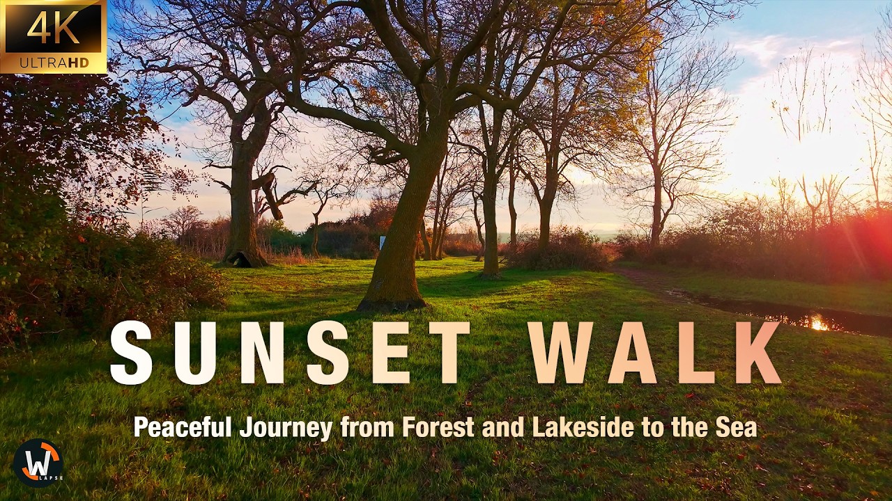 Sunset Walk - Peaceful Journey from Forest and Lakeside to the Sea ASMR