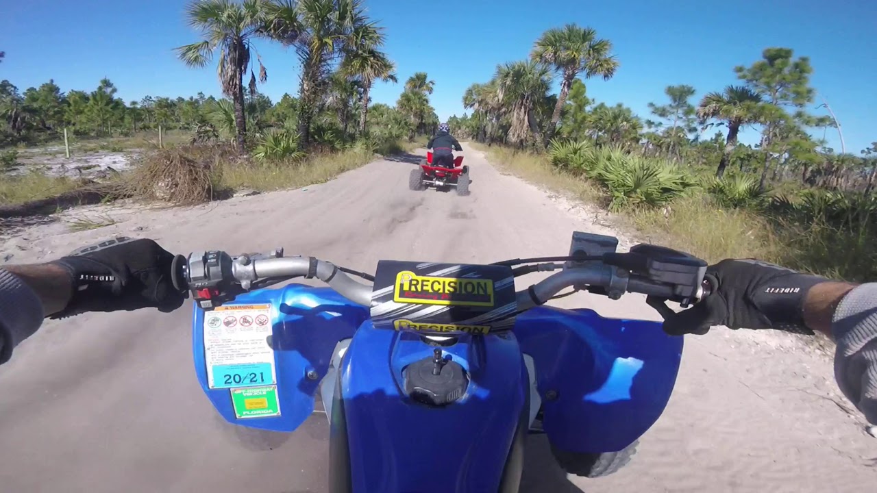Yfz450r vs Trx450