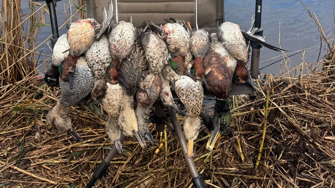 North Carolina Duck Hunt (3 Man Limit!!) 11-22-25