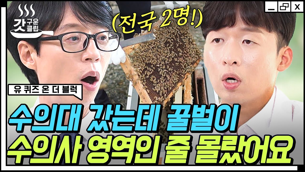 [#유퀴즈온더블럭] 👨‍⚕️눈 떠보니 내가 전국에 2명 있는 꿀벌 주치의?!? 설사하는 꿀벌도 치료하는 멋짐 폭발 자기님🧐 | #갓구운클립