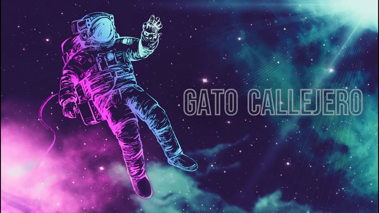 Dassaroo - GATO CALLEJERO prod. HEY BLESS! (Lyrics Video) | SPACE TRIP