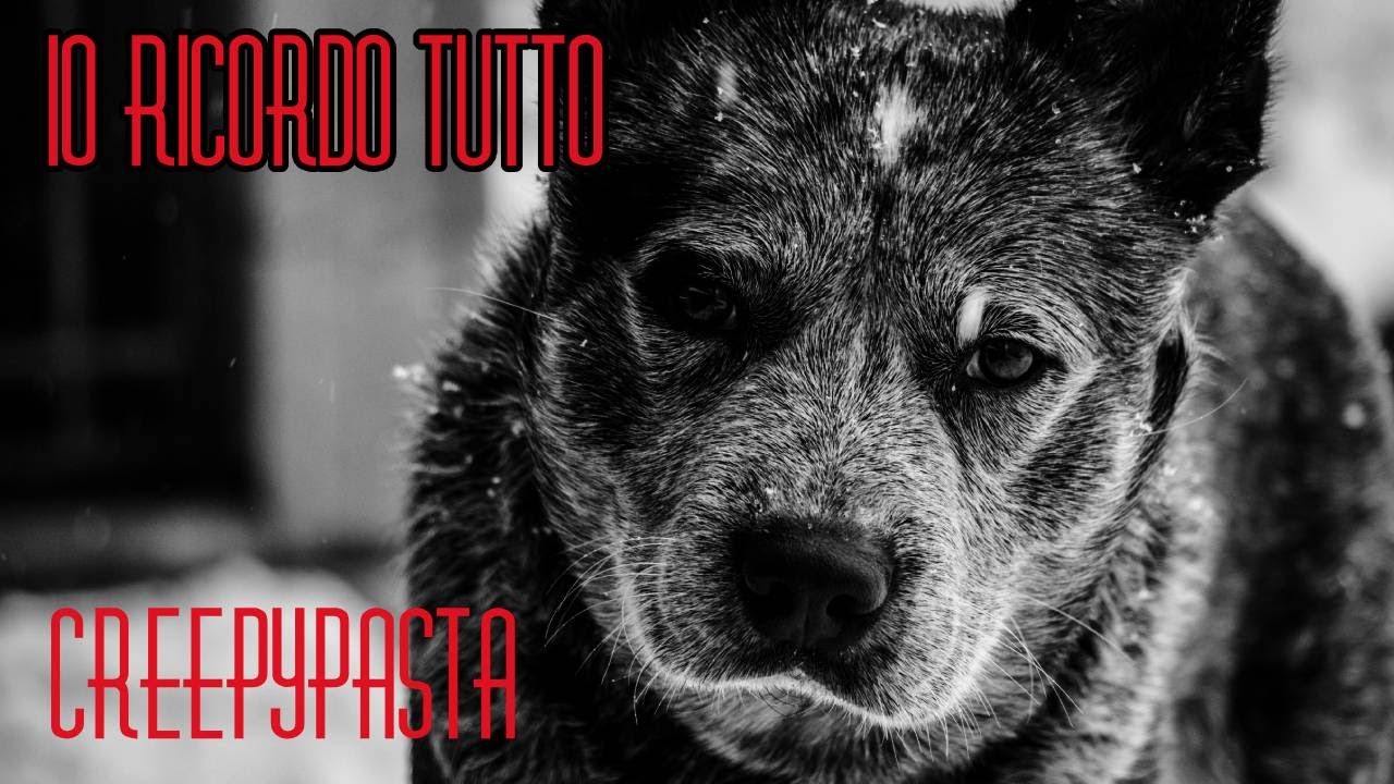 CREEPYPASTA [ITA] - Io ricordo tutto