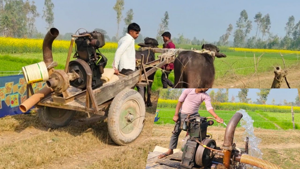 8hp Diesel engine/ Water Pump ground Open Water amagin Setup Starting/ Pani Wala Eingin Farming