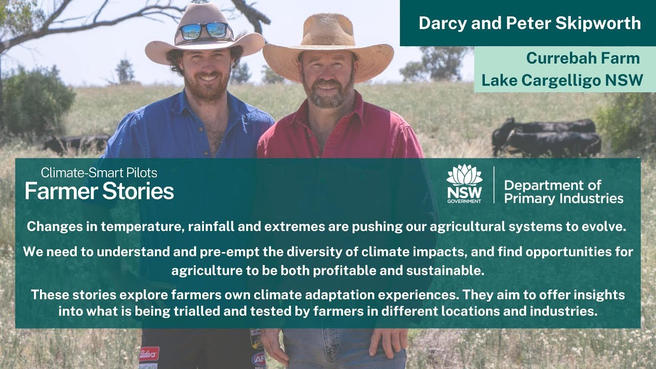 NSW DPI Farmer Stories | Peter and Darcy Skipworth