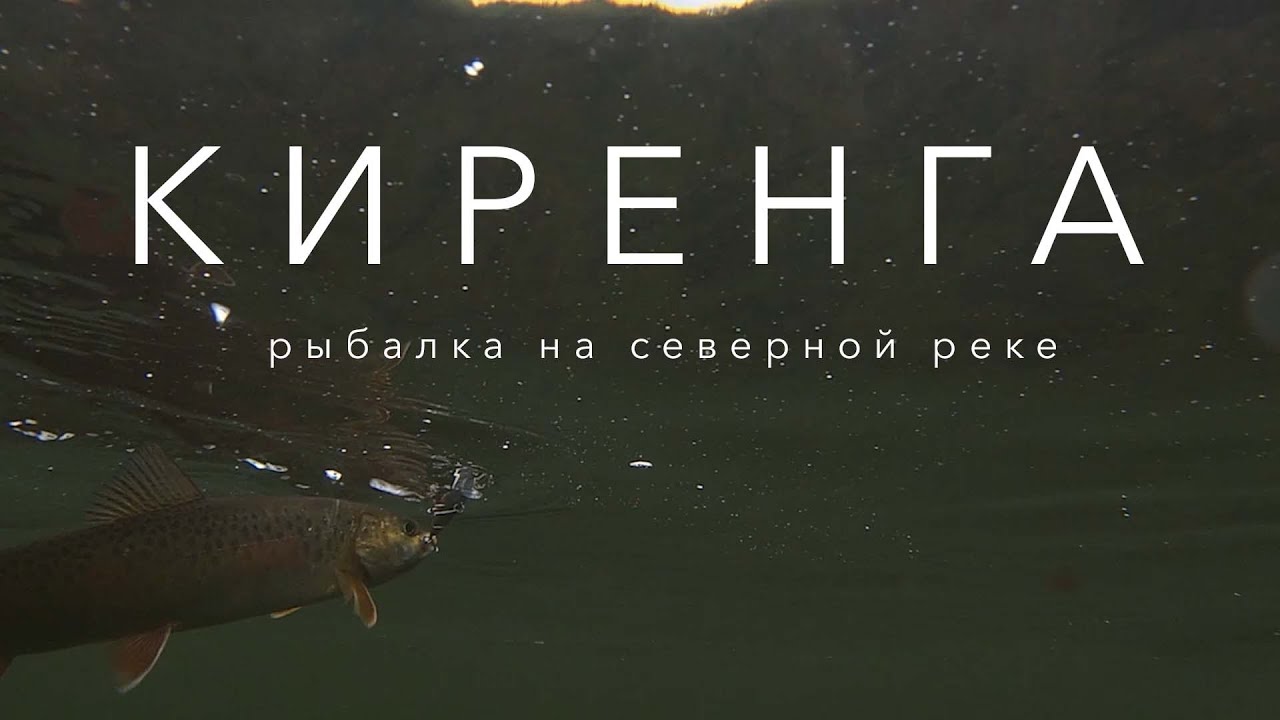 Охота на Тайменя / Рыбалка в тайге от первого лица