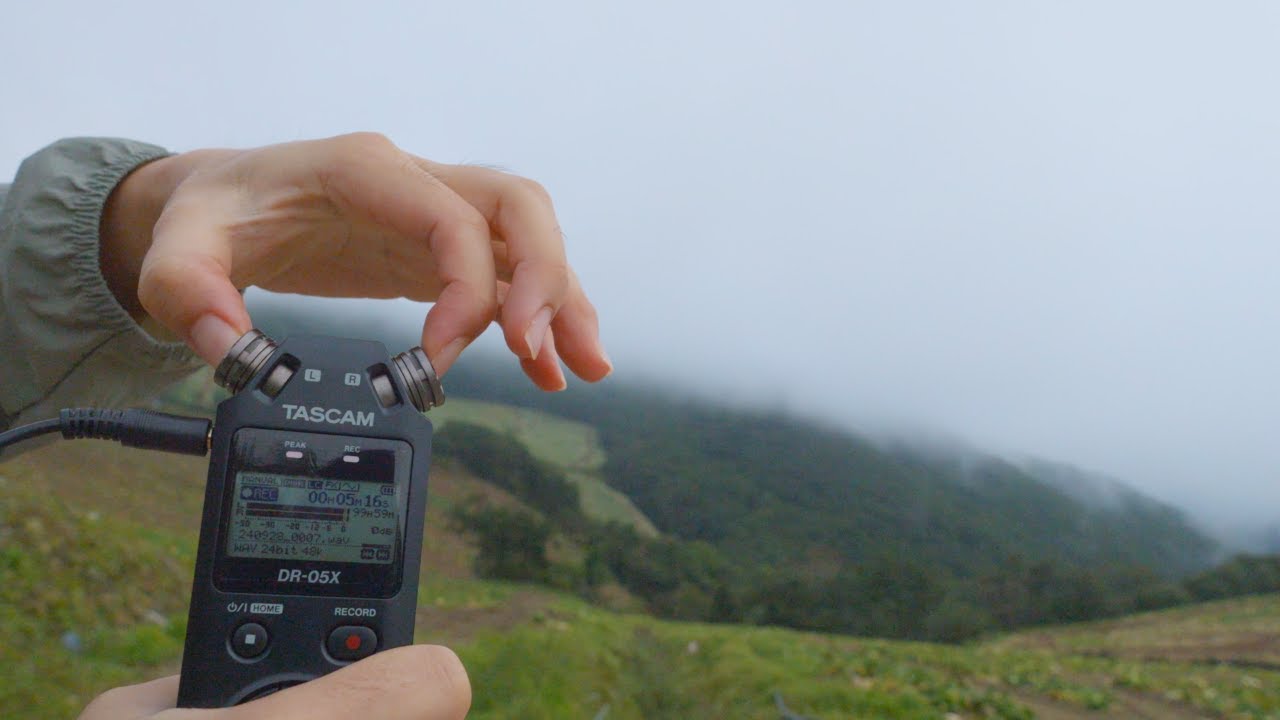 강원도 산골에서 손톱으로 타스캠 몸통을 빠르게 치고, 긁기💥 ASMR TASCAM Body Fast Tapping & Scratching Outdoors