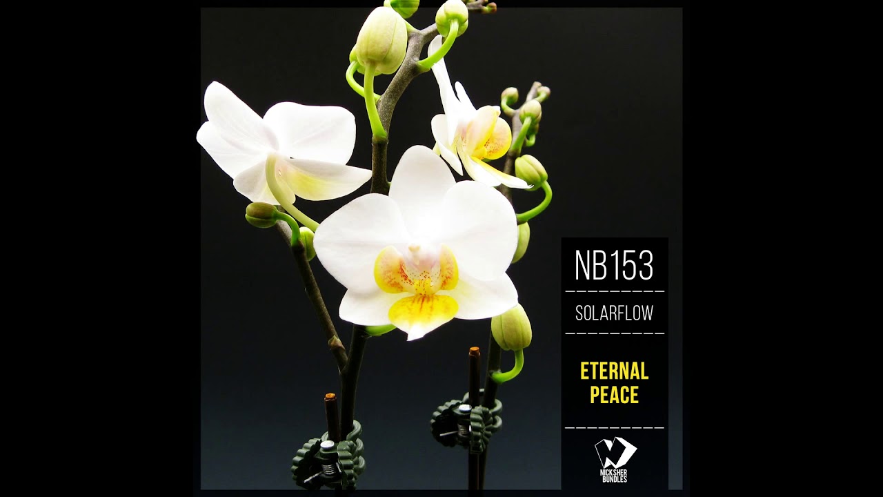 SolarFlow - Springtime (Original Mix)