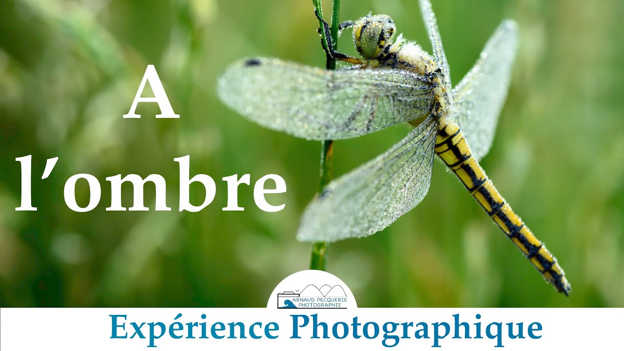 Comment photographier entre ombre et lumière?