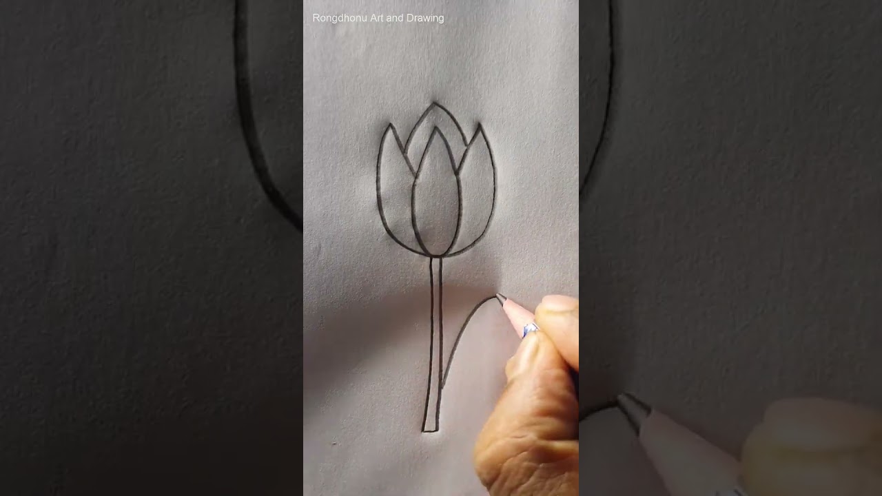 Tulip #flower #drawing from #W letter 🌷🌷