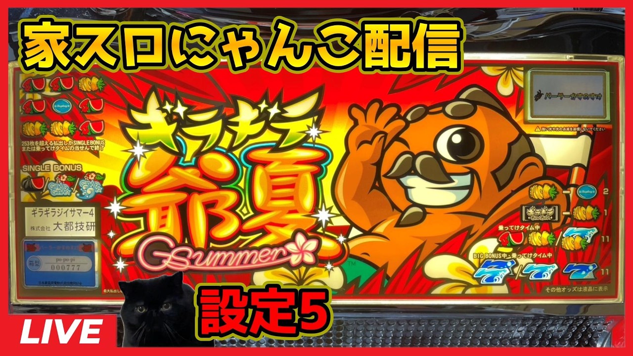 【家スロにゃんこ配信】ギラギラ爺サマー【設定5】