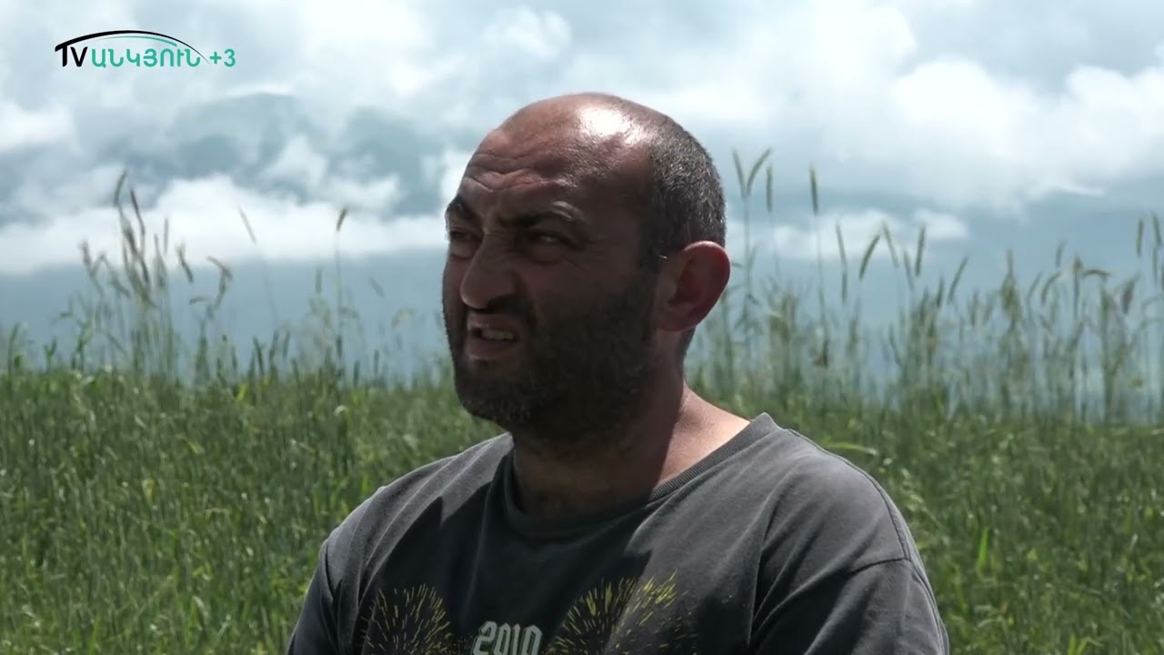 Մի կտոր հաց, էն էլ` վերևից կախված․Մղարթի բնակիչ