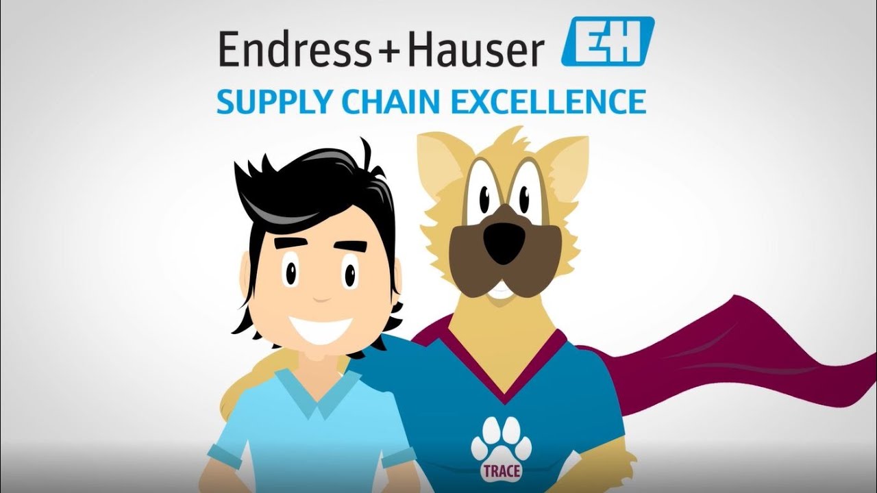 Supply chain excellence at Endress+Hauser