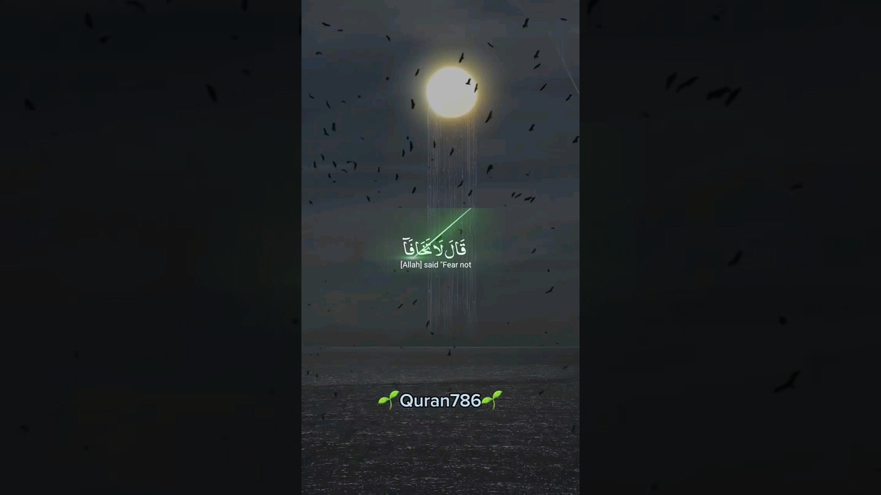 🌱💖Beutifull tlawat #tlawat #quranrecitation #quranepakkitilawat #qurantranslation