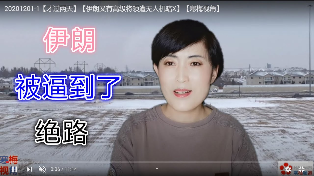 20201201-1【才过两天】【伊朗又有高级将领遭无人机暗X】【寒梅视角】