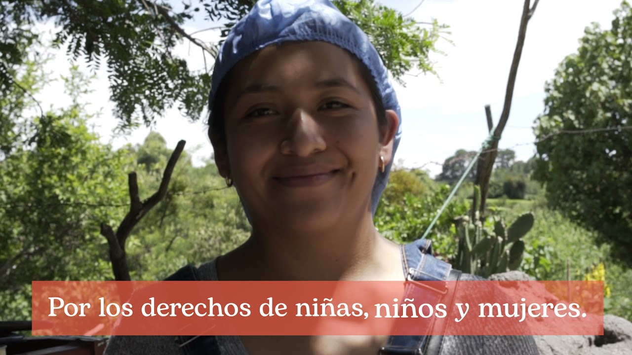Ayuda en Acción México. Video Institucional.