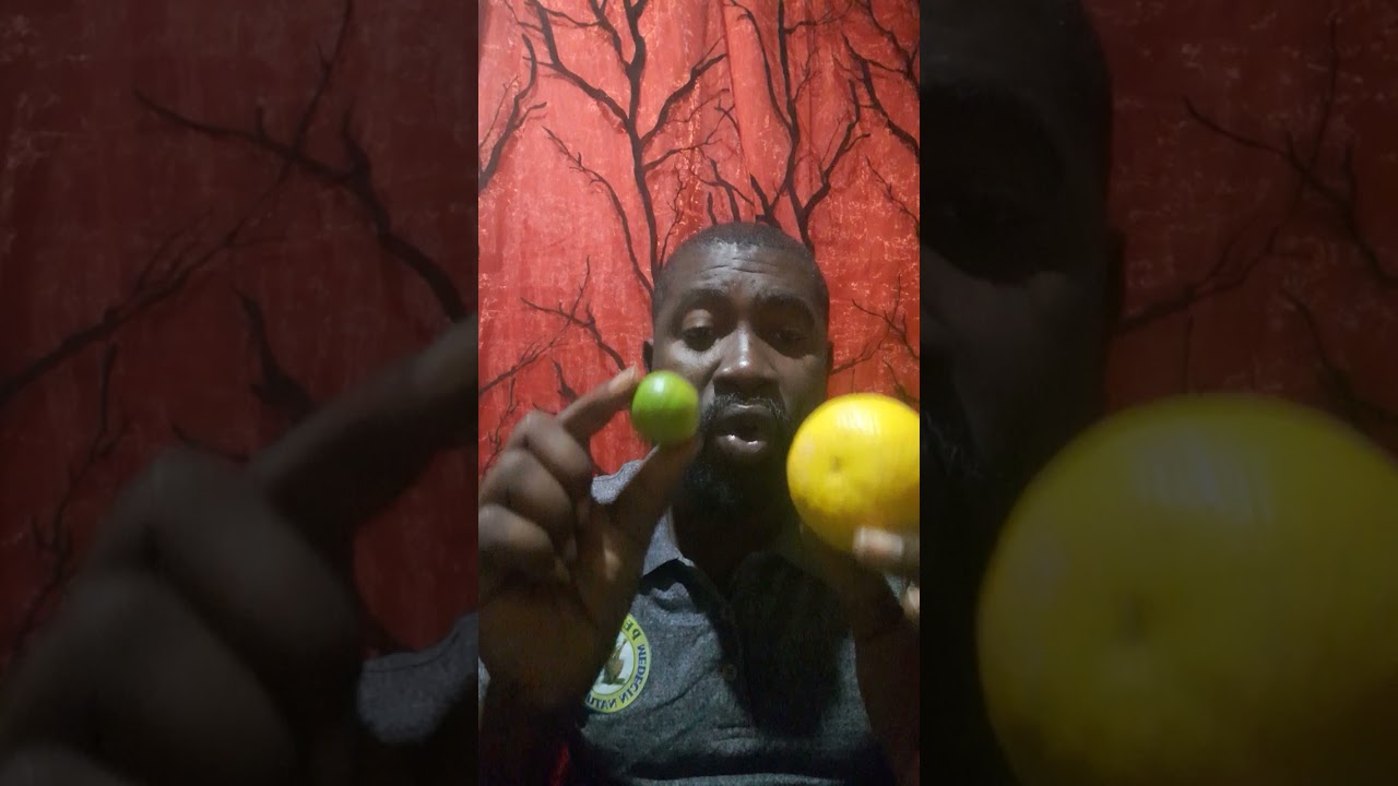 Men on beny giyon 2022  à mw pote pou nou al gade l pou wè kija lifet