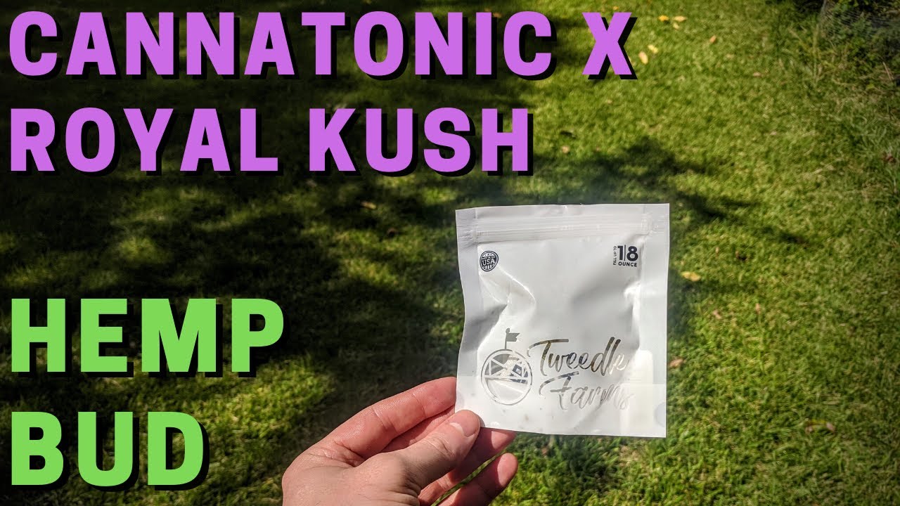 Cannatonic x Royal Kush Bud Review (Tweedle Farms)