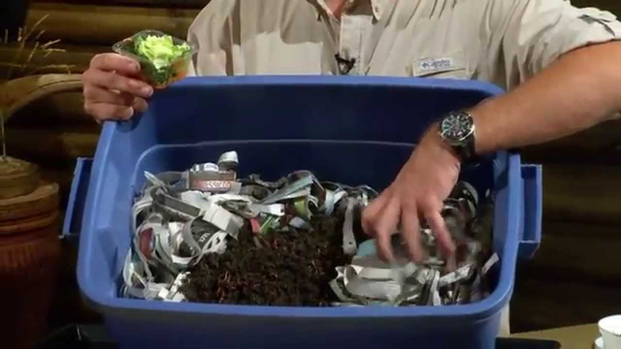 Le vermicompostage pour la pêche