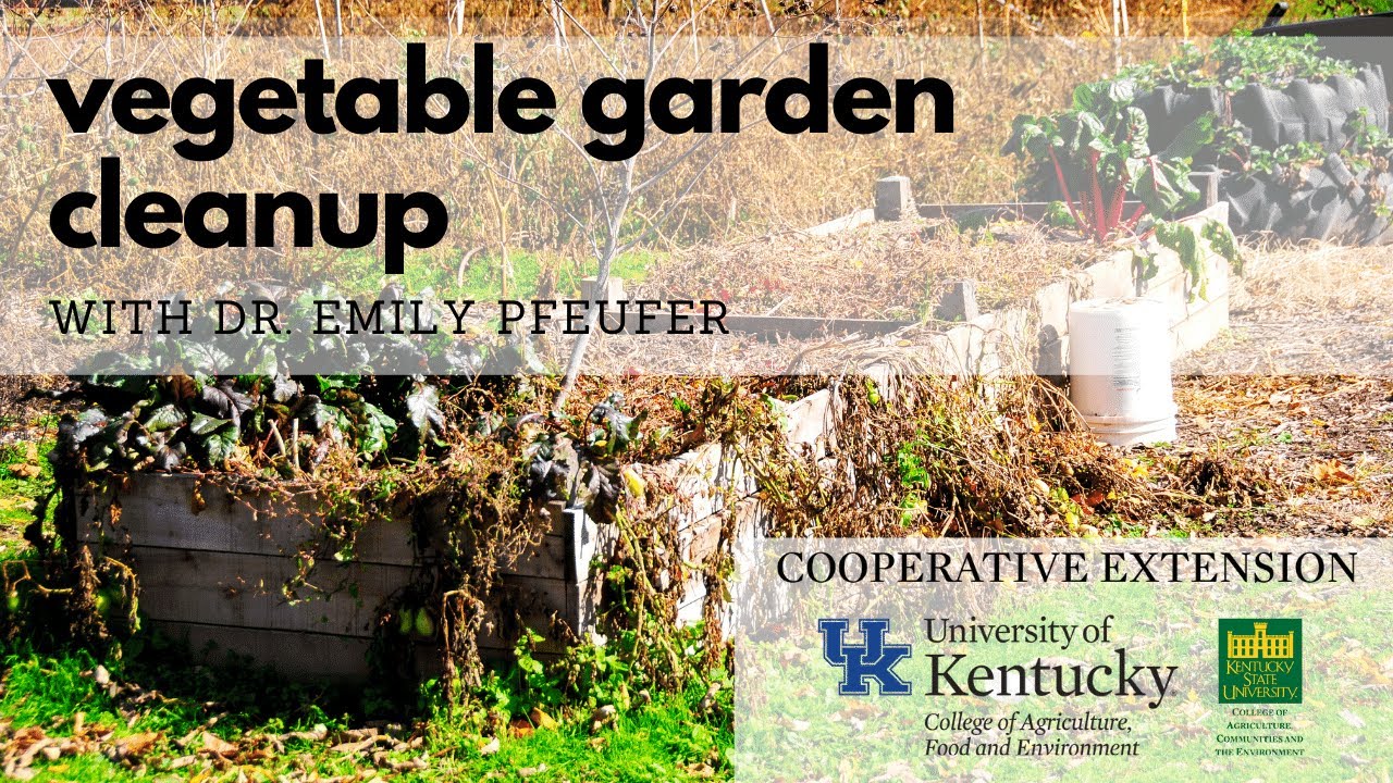 Vegetable Garden Cleanup