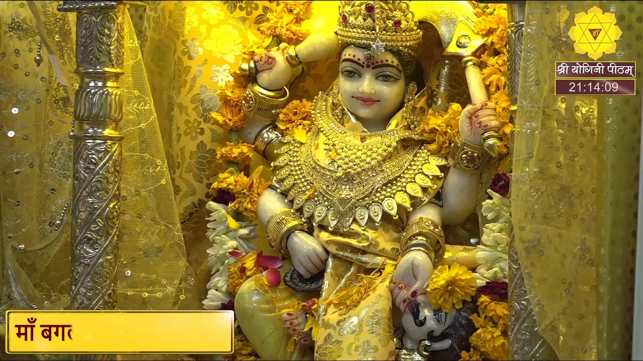 माँ बगलामुखी आरती पूजन कवच एवं सिद्ध मंत्रों का पाठ एवं लाइव दर्शन करिये