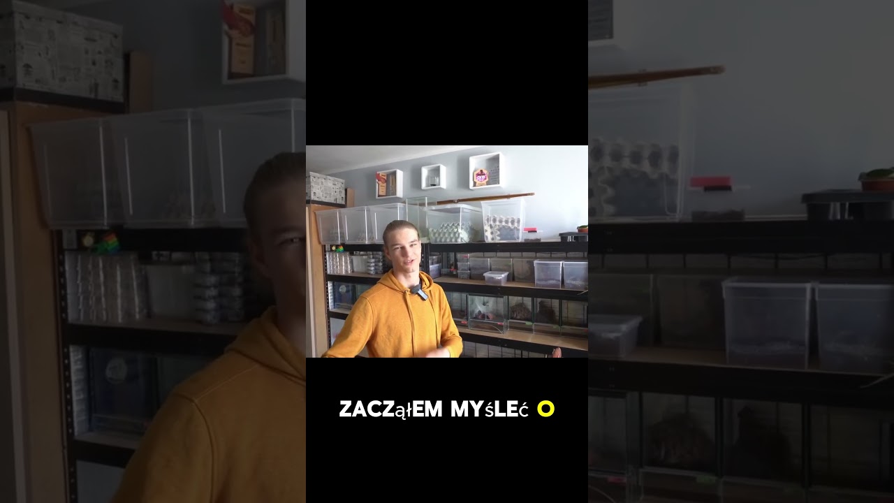 Jak arachnofobia niszczyła moje życie?