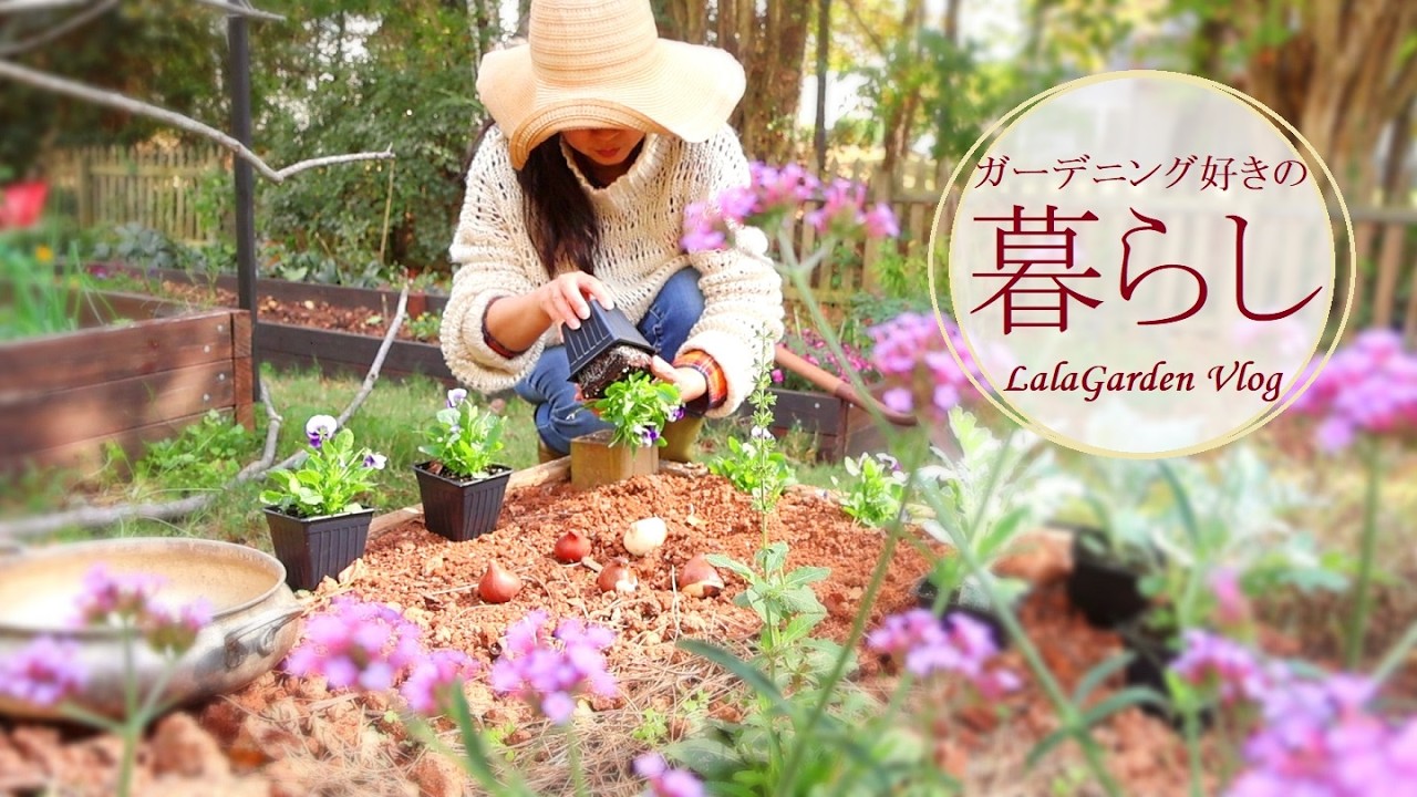 【ガーデニングと暮らし】晩秋の庭仕事・秋植え球根・お弁当・LalaGraden vlog
