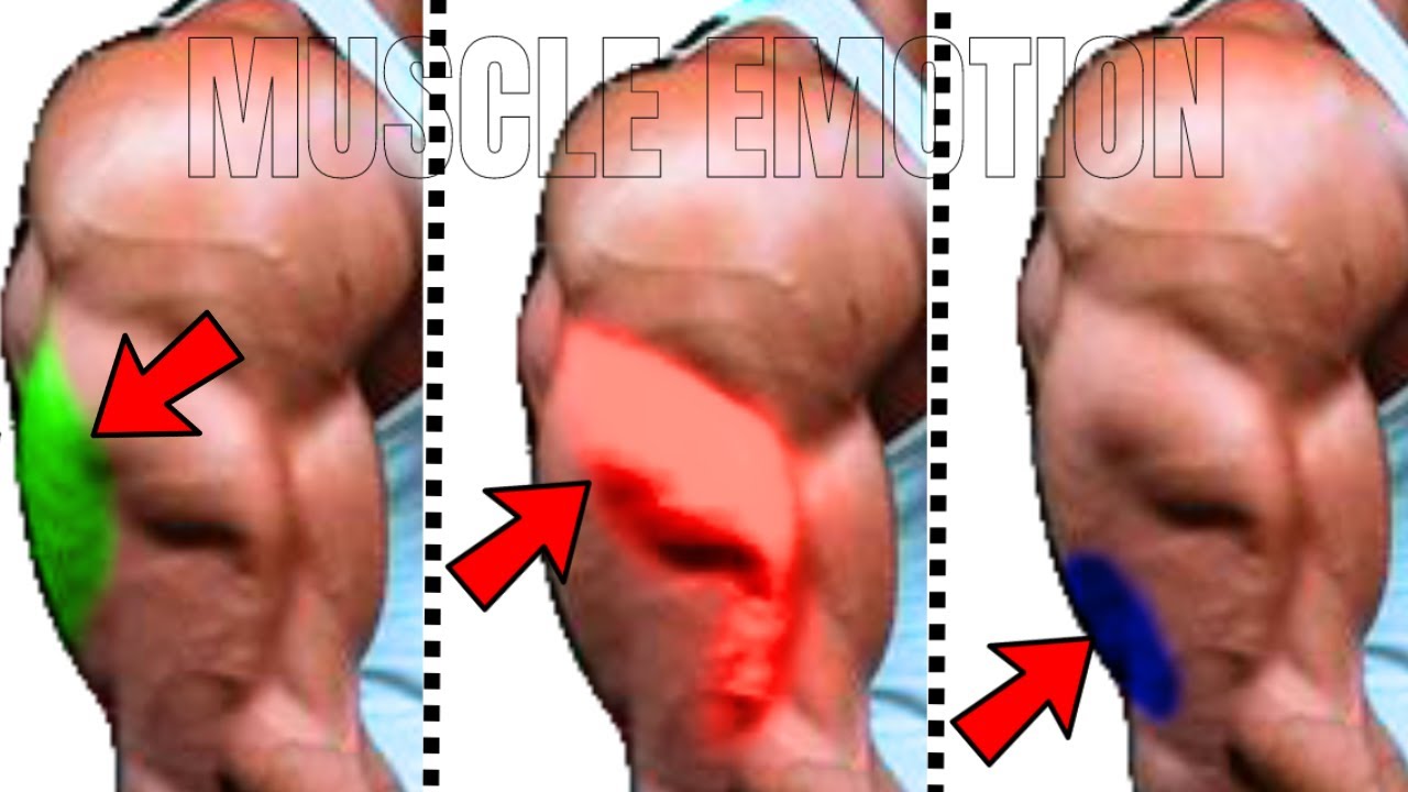 15 BEST TRICEPS WORKOUT AT GYM ( LONG HEAD / LATERAL HEAD / MEDIAL HEAD )