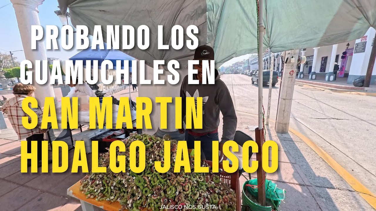 SAN MARTIN HIDALGO JALISCO