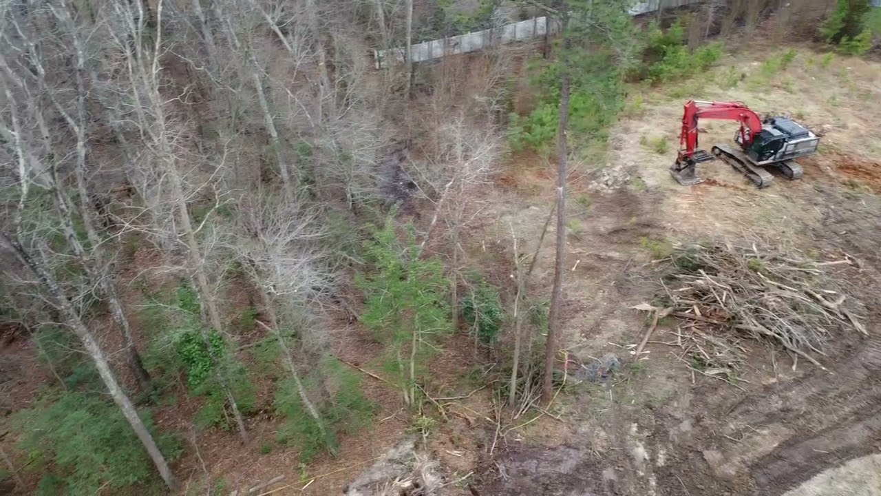 Glade View - January Progress