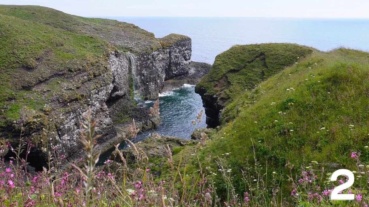 Day 2: Fowlsheugh nature reserve | relaxing