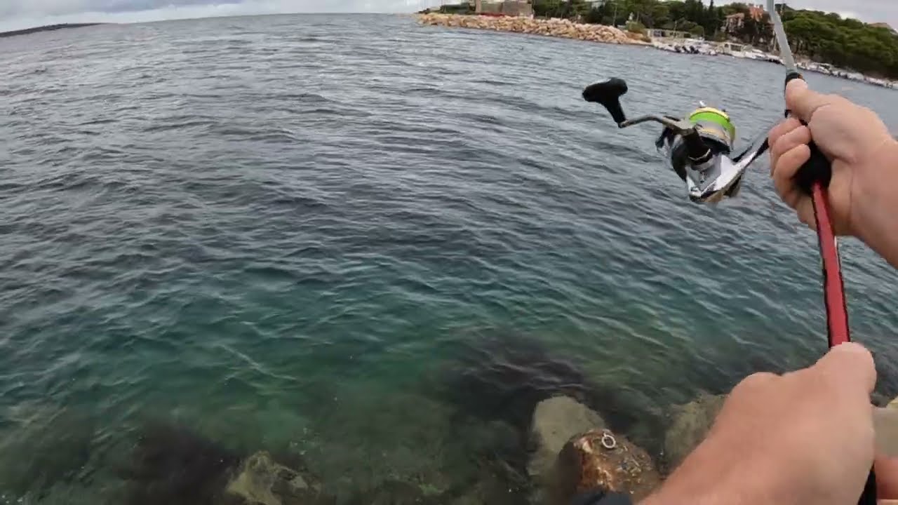 28 9  prije podne plavica