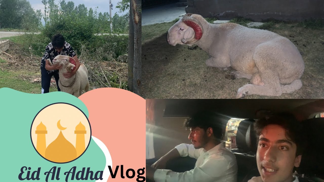 Eid vlog sultan ki yaad ayai gii 😭