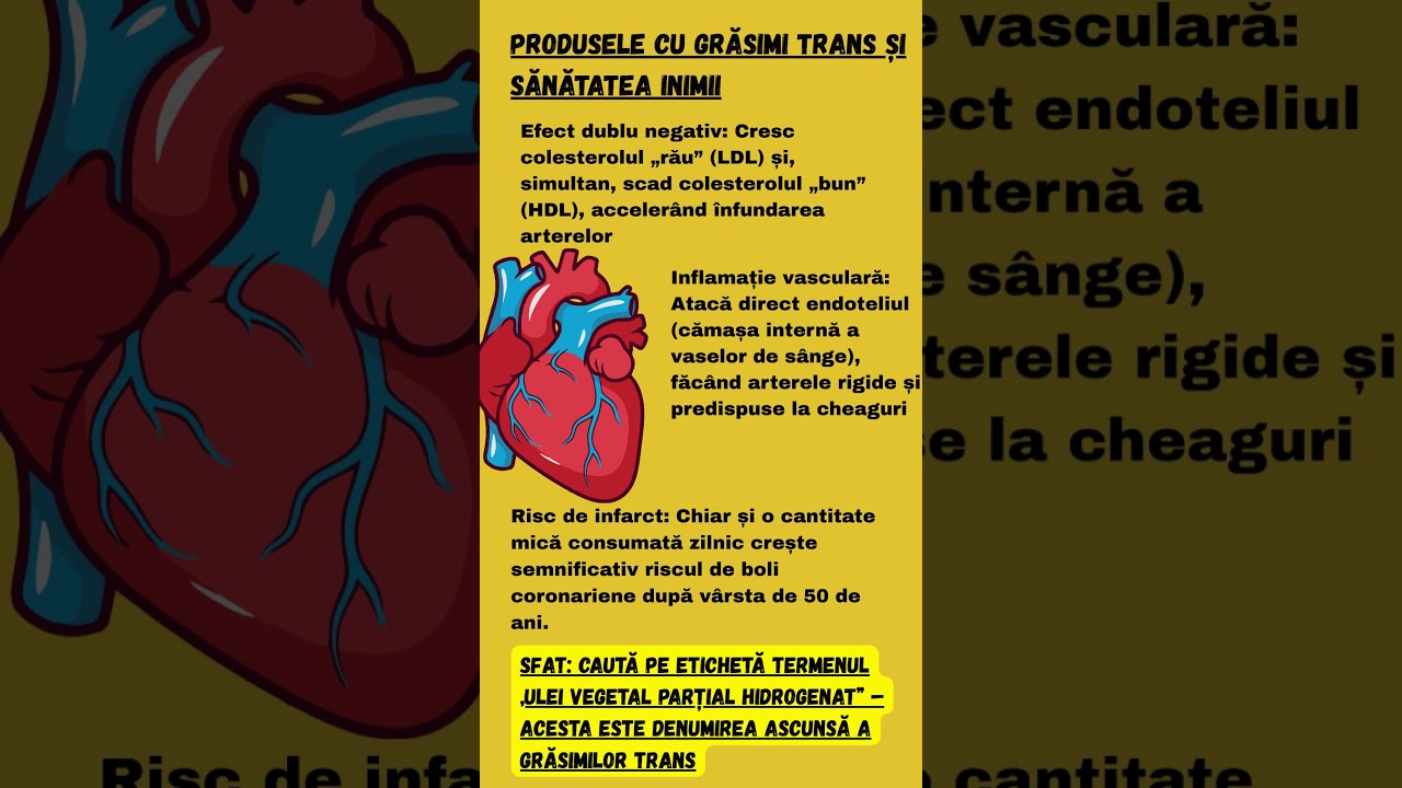 Grăsimile Trans și Sănătatea Inimii – Pericolul Din Farfurie Colesterol 