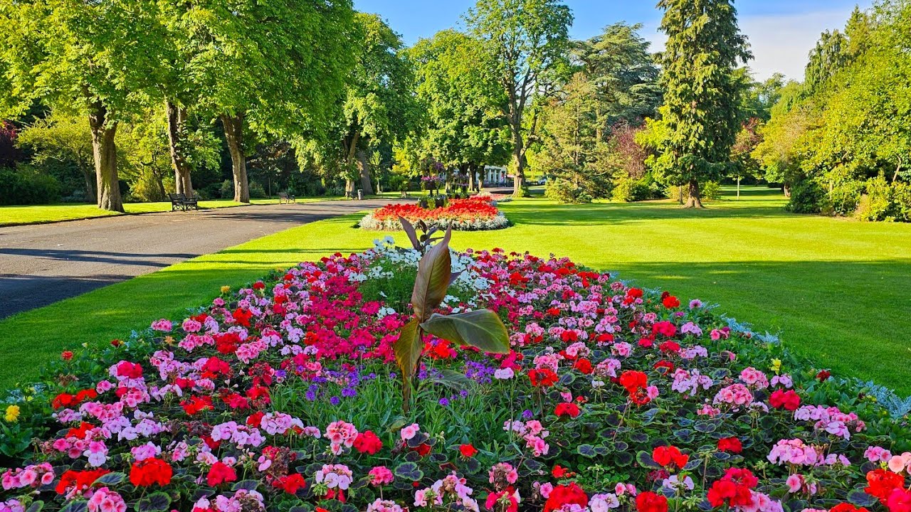 Flowers,UK🇬🇧LOWERS IN THE PARK//FLOWERS//GARDEN//