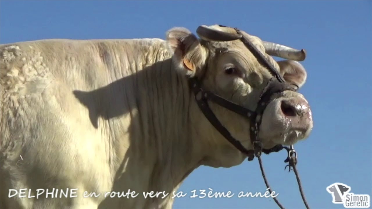 Semaine portes ouvertes 2021 au GAEC Richard en Vendée