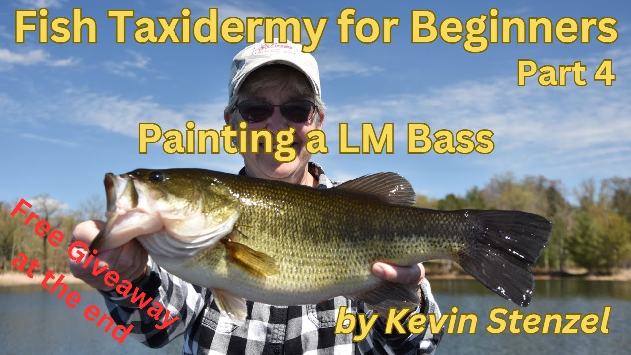 Fish Taxidermy for beginners Part 4 Painting a LM Bass Skin Mount