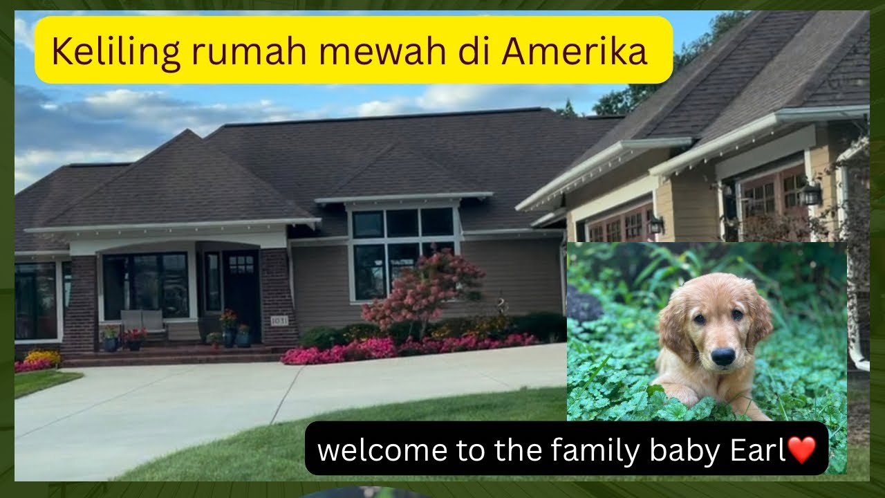 Our village sightseeing then bringing home 2 and a half months Golden Retriever!! 