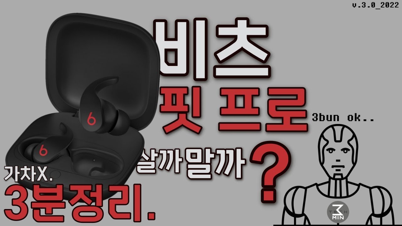 비츠 핏프로 살까말까? 악독한 3분정리.