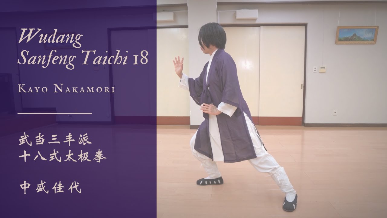 Wudang Sanfeng Taichi 18 武当三豊派18式太極拳