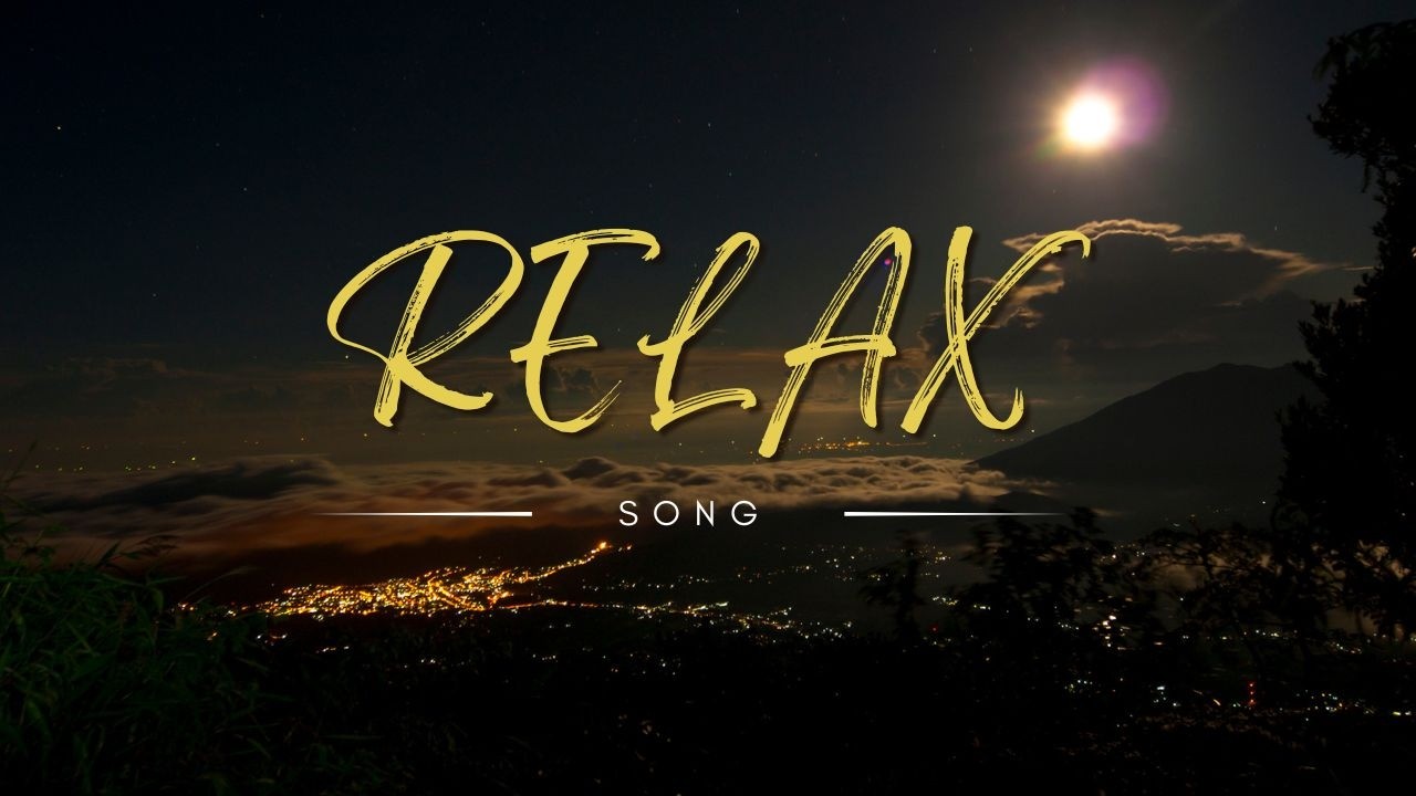 Silent Forest at Night (12 Minutes)