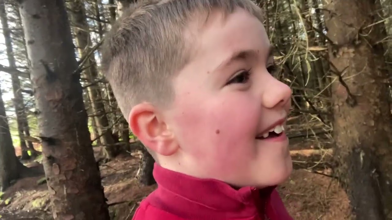 Sal Gaming Minecraft 1